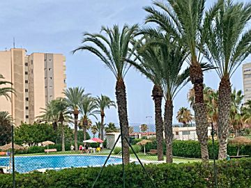 Foto 1 Venta de piso con piscina y terraza en Urbanova-Agua Amarga (Alicante)