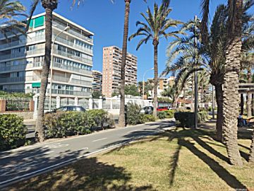 Imagen 1 Venta de piso en Playa San Juan (Alicante)